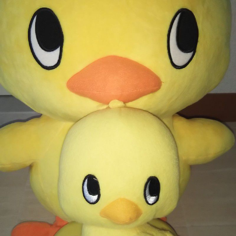 ふろう　のりこ