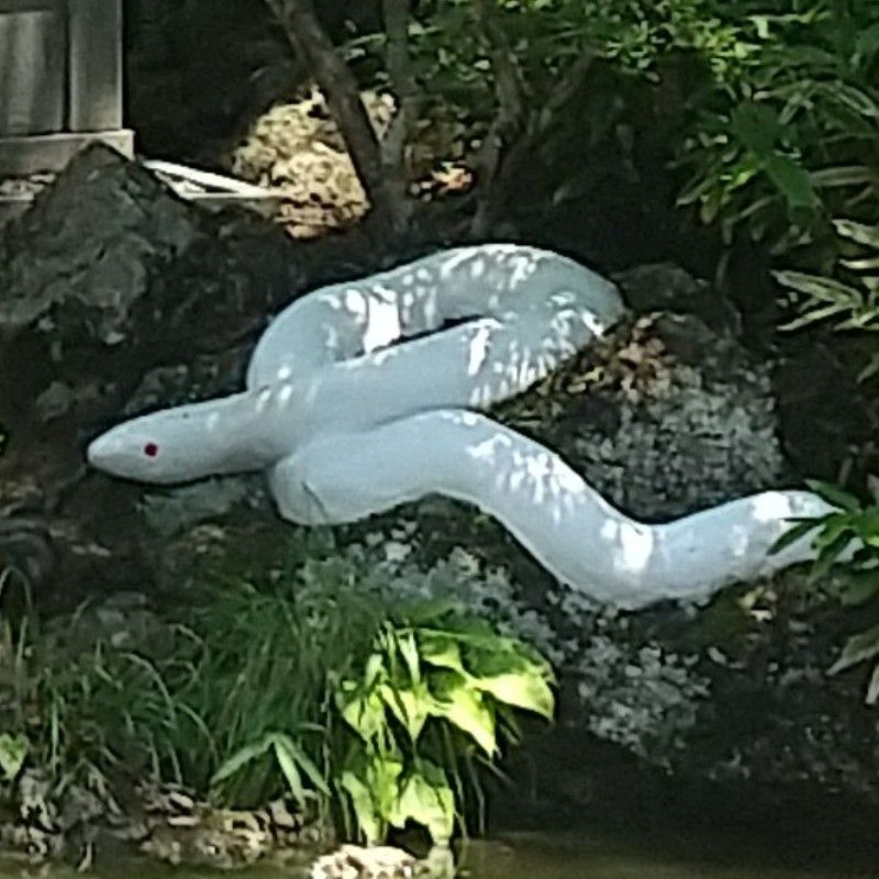 ひまわりひろちゃん