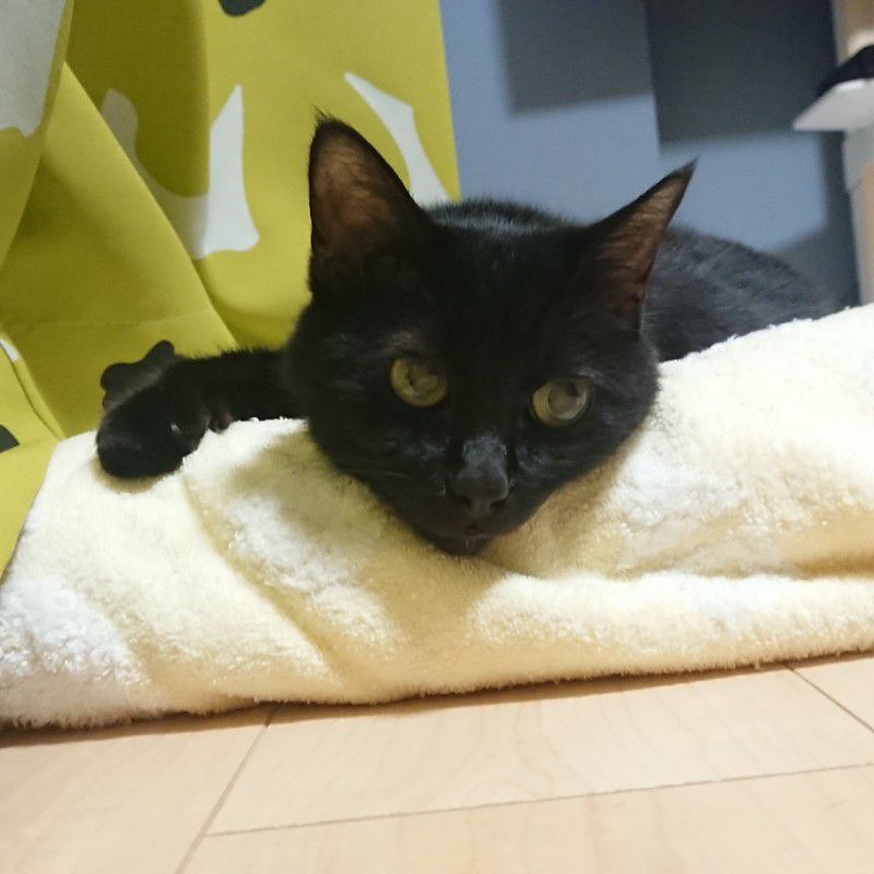 かとうあいこ☺️