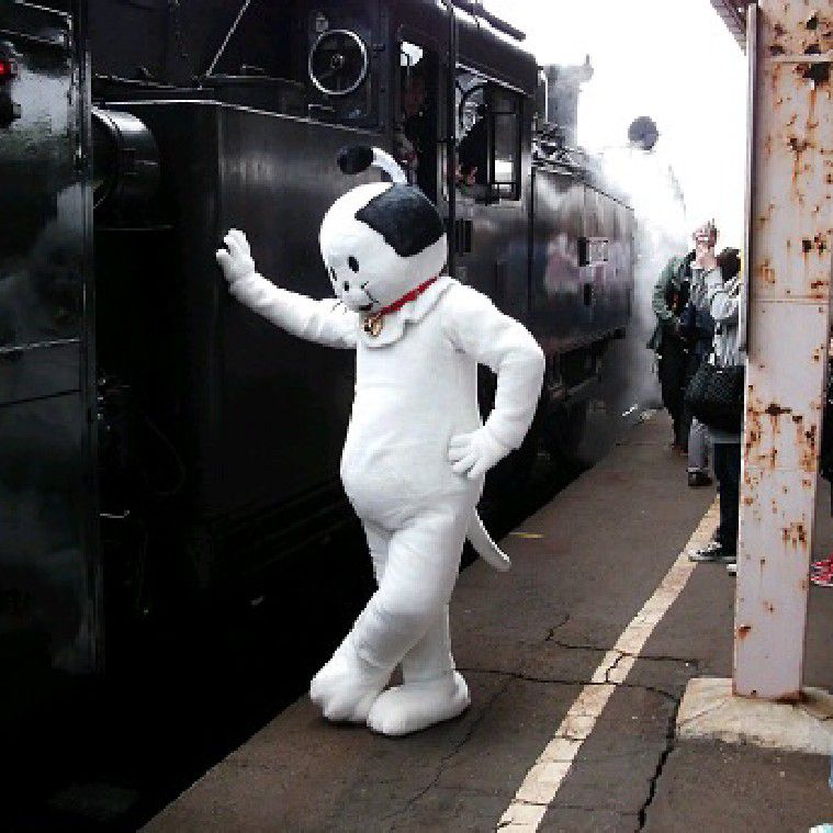 キハ82系つばさ