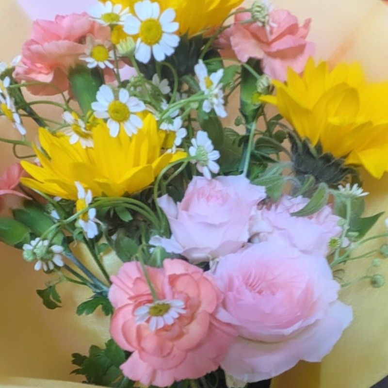 としえ❁¨̮(寿江)