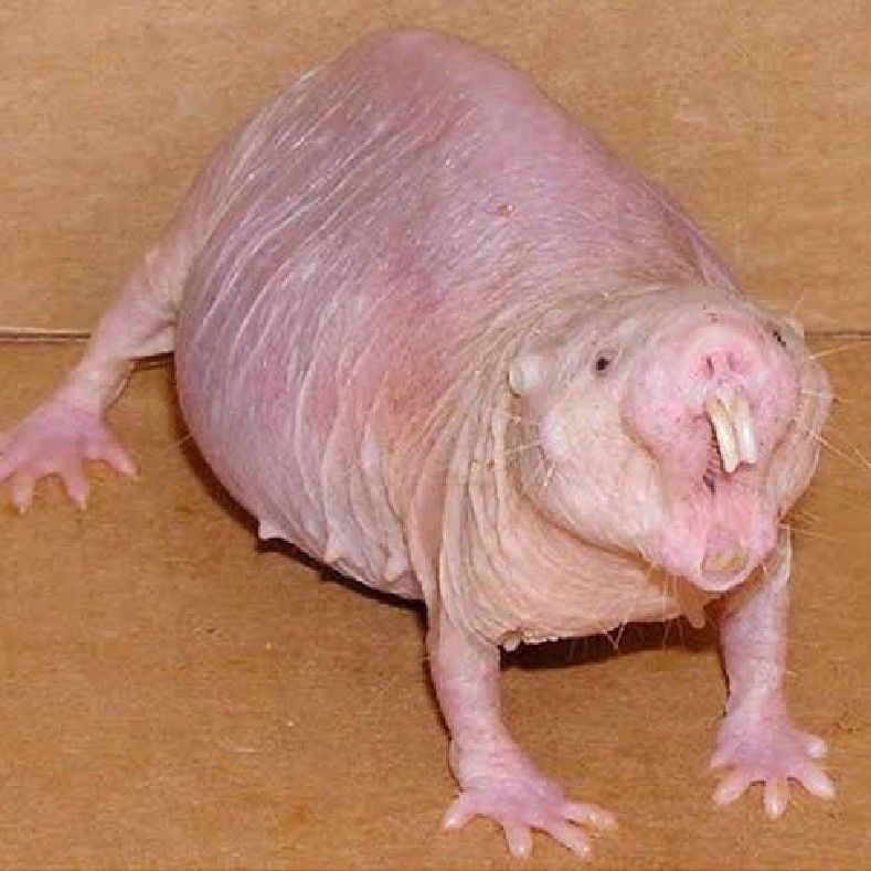 山邊千尋（2/7）