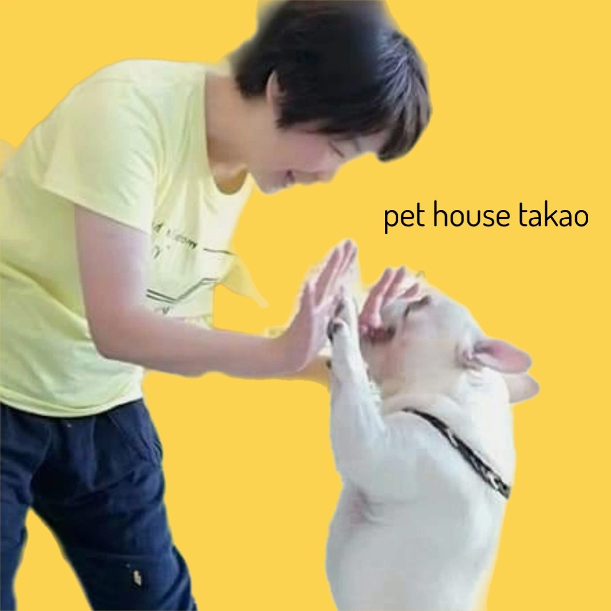 ペットハウスtakao☆タカオコズエ