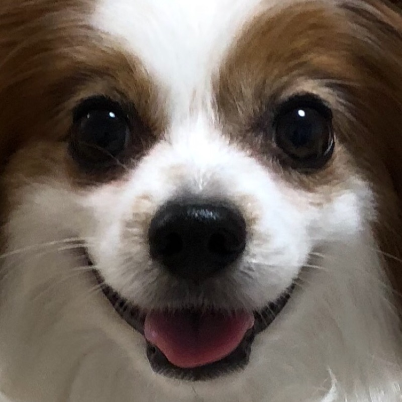 山口早貴（川津）