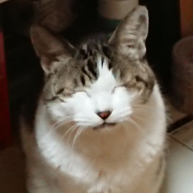 sexyすーさん@ｼｮｷﾞｮﾑｼﾞｮ