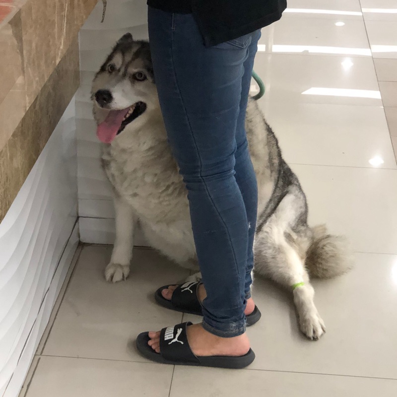 โม่