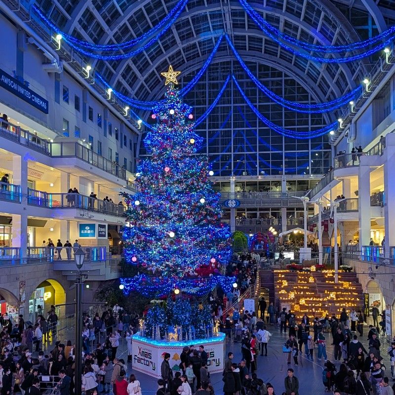 ブル-スカイ2100KUMI