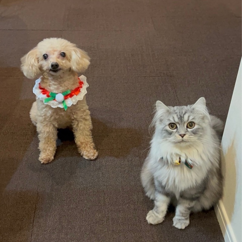 ふくなが なつよ