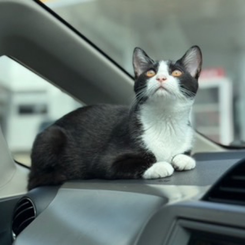 𝙷𝚒𝚝𝚘𝚖𝚒ꕥ