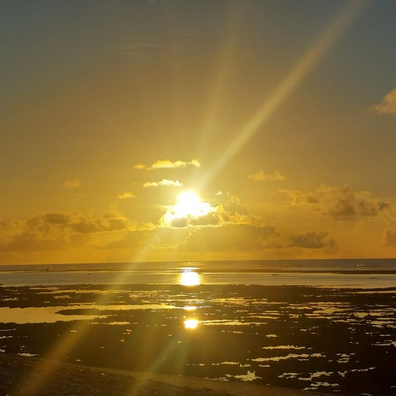 🌿西郡愛光(真理)
