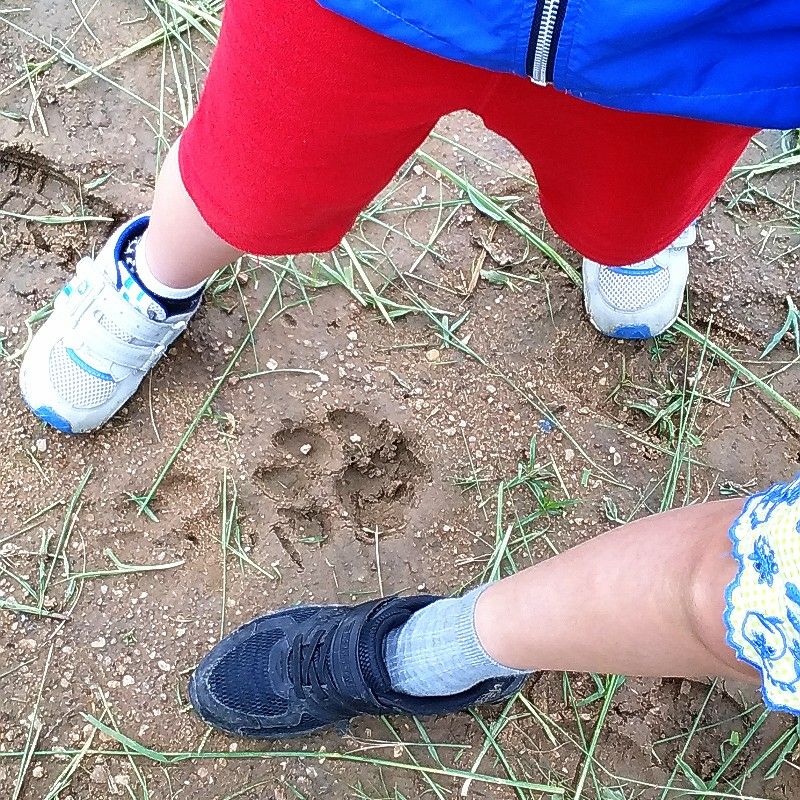 佐々木(テイラー)　貴代