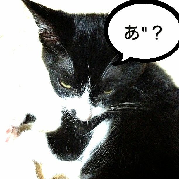 あかほりみちのり