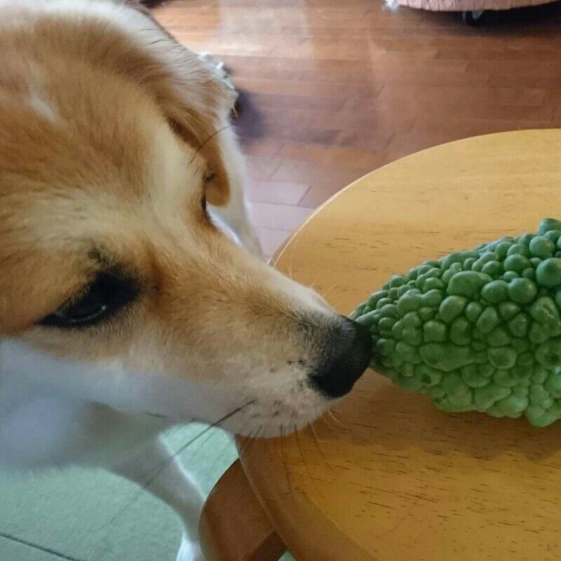 小林 muroi 由美子