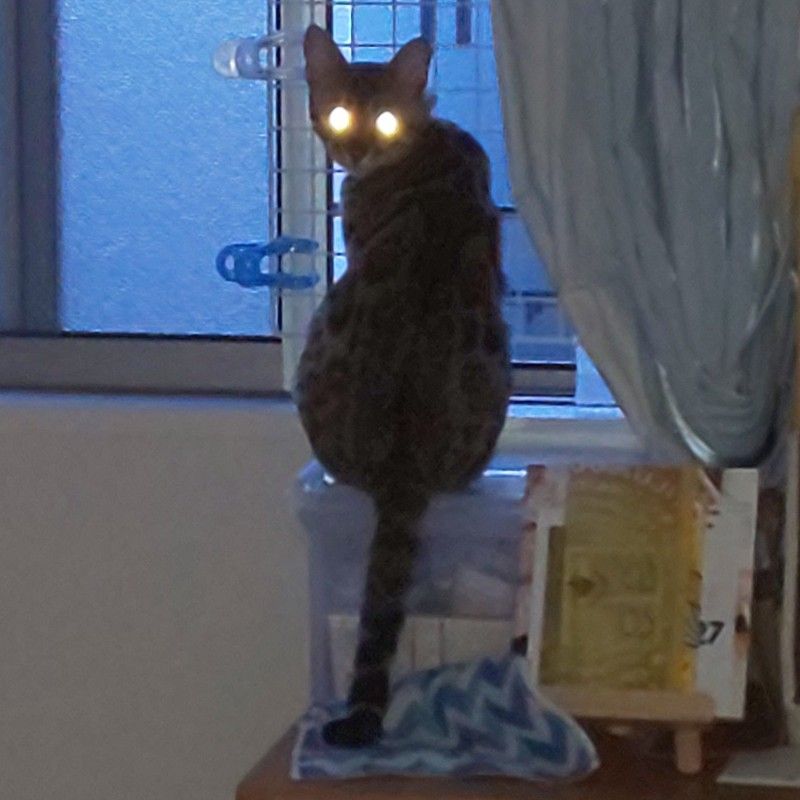 山田★ヤムヤム