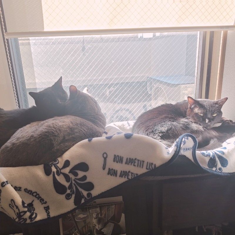 hiro🌴