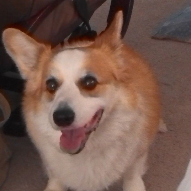 YOSHIE
