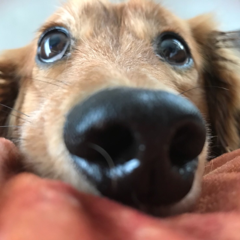 ストロベリーキャンドル