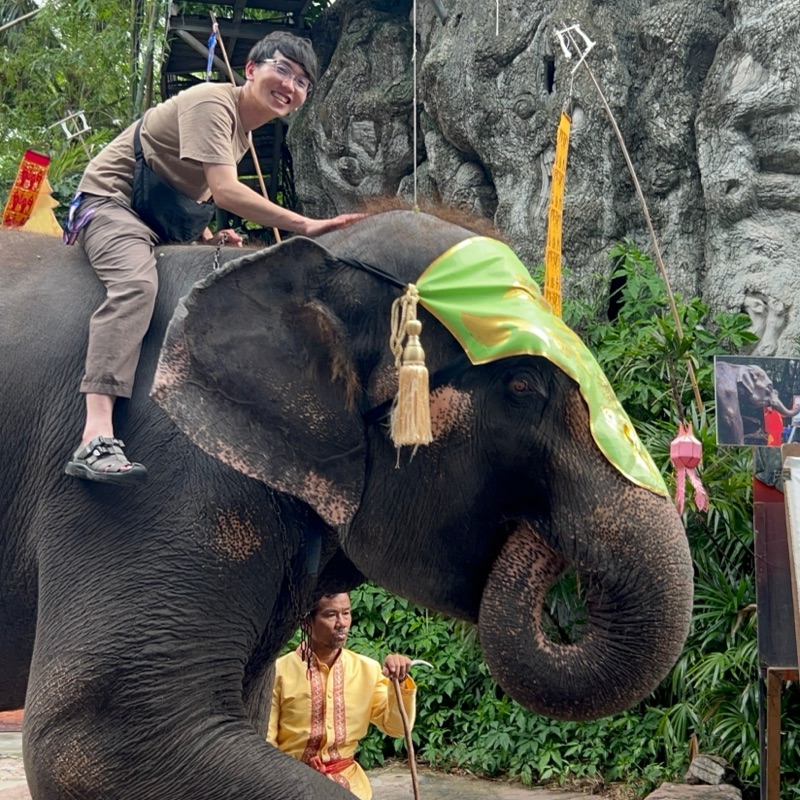 しゃしんがかり