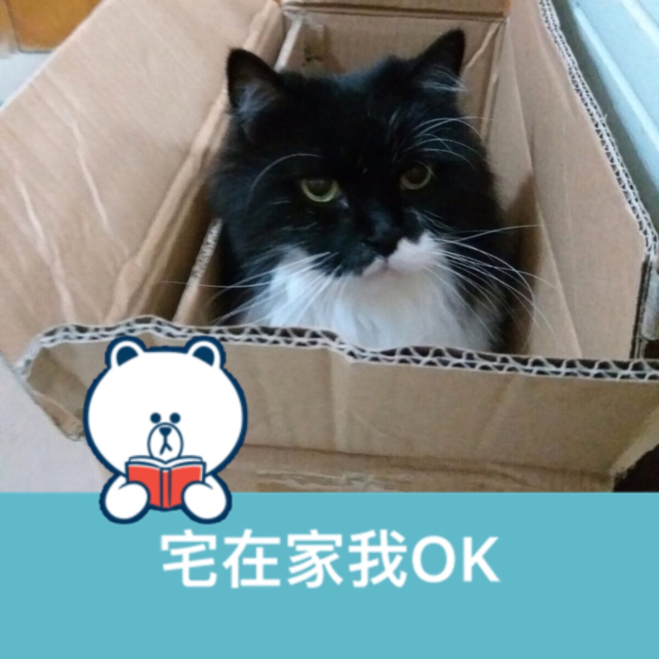 Milly ミリー 밀리