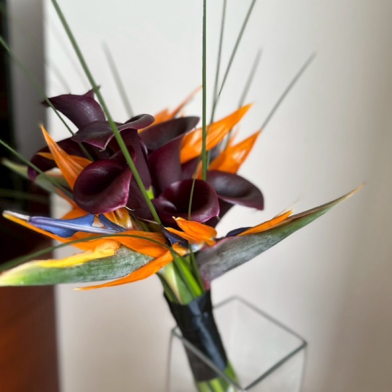 野坂匠 / Sho Nosaka