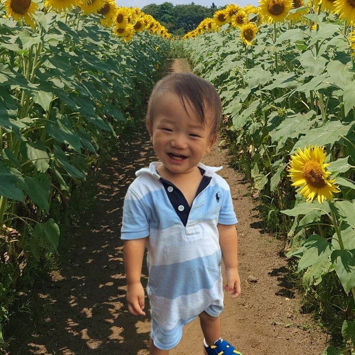 お刺身さん太郎