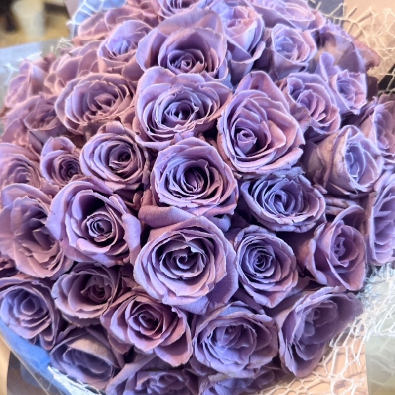 ☆☆☆M♥K☆☆☆