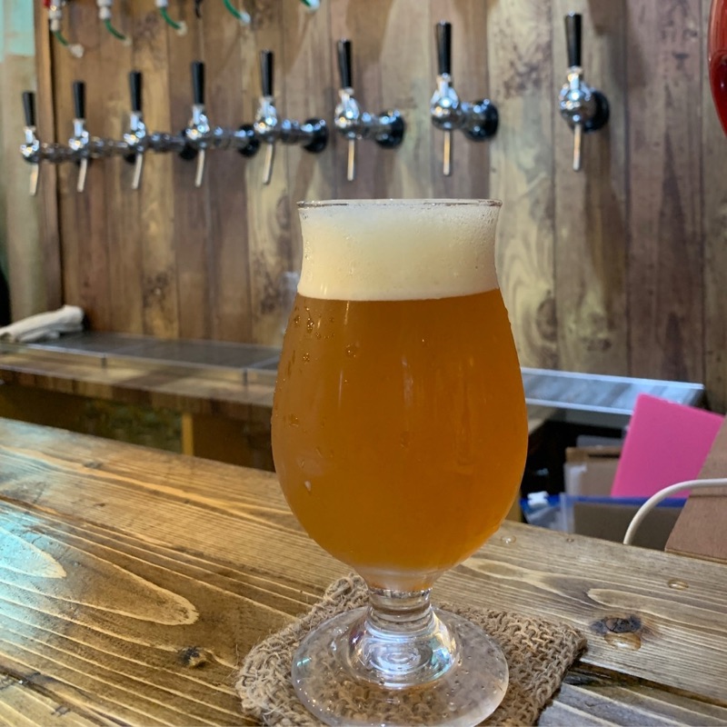 ミカミ💃キョウコ