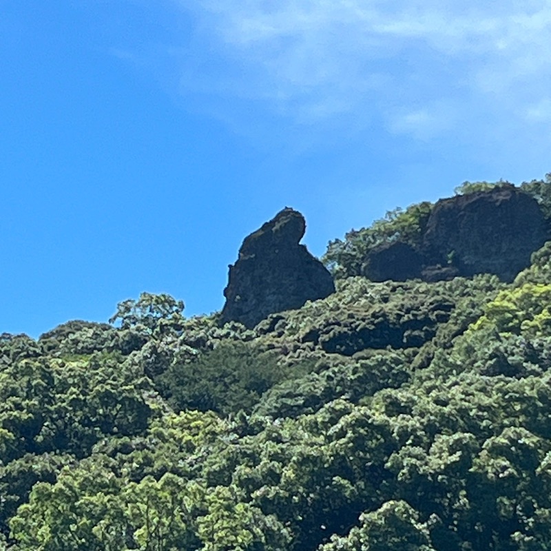 藤田昌三