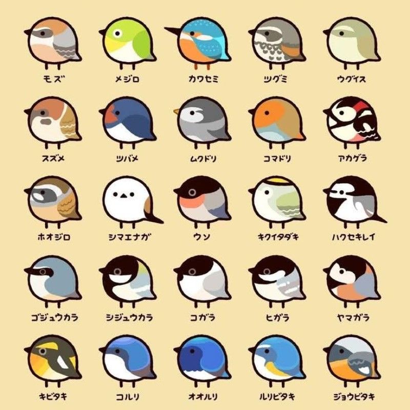 いつかはビーエム