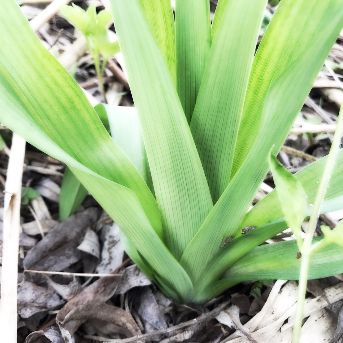 takahashi 高橋靖（おさむ）
