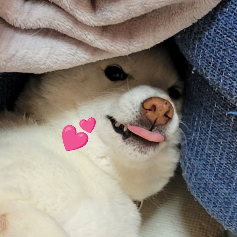 あきの(*≧∀≦*)