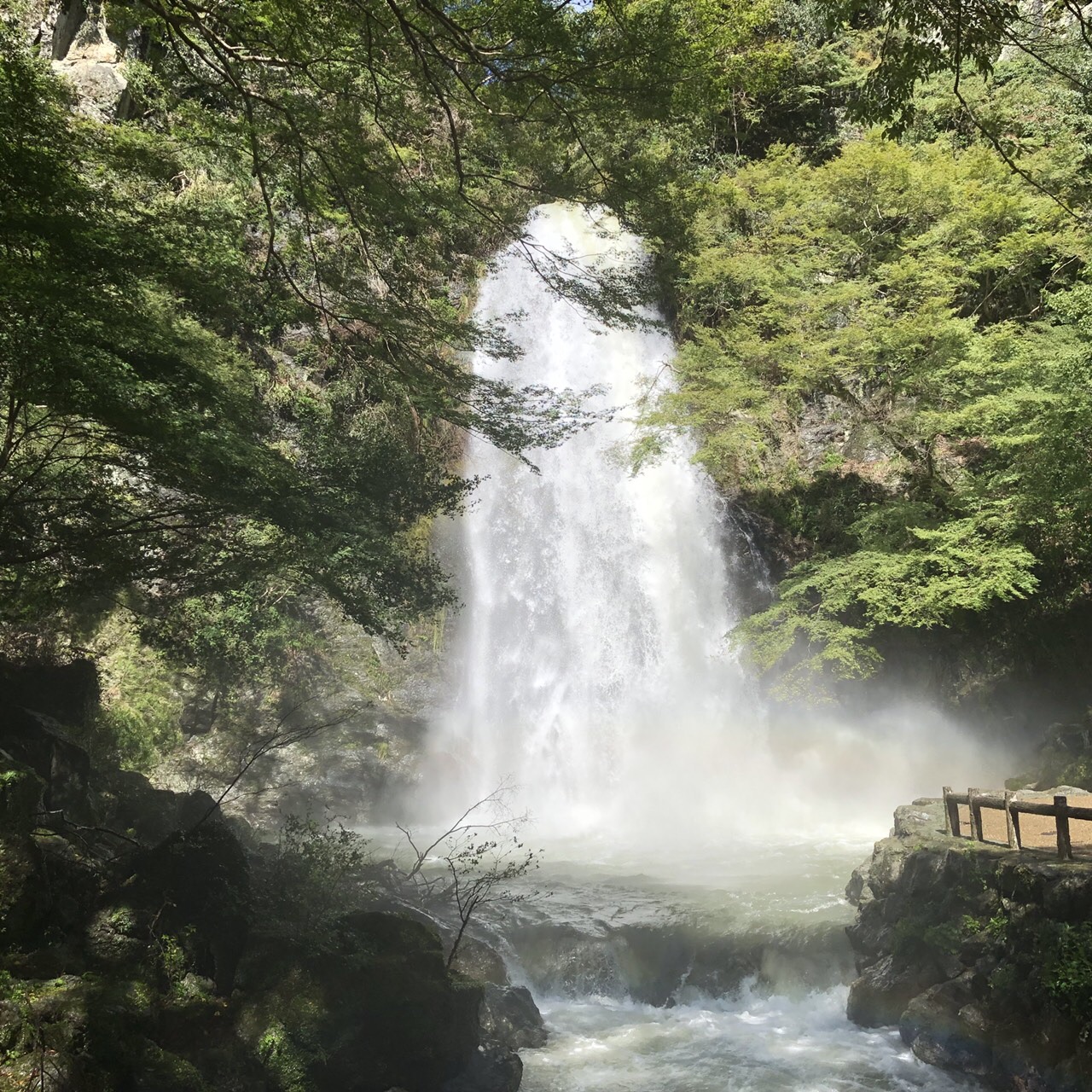 喜左上ノブアキ（難波）