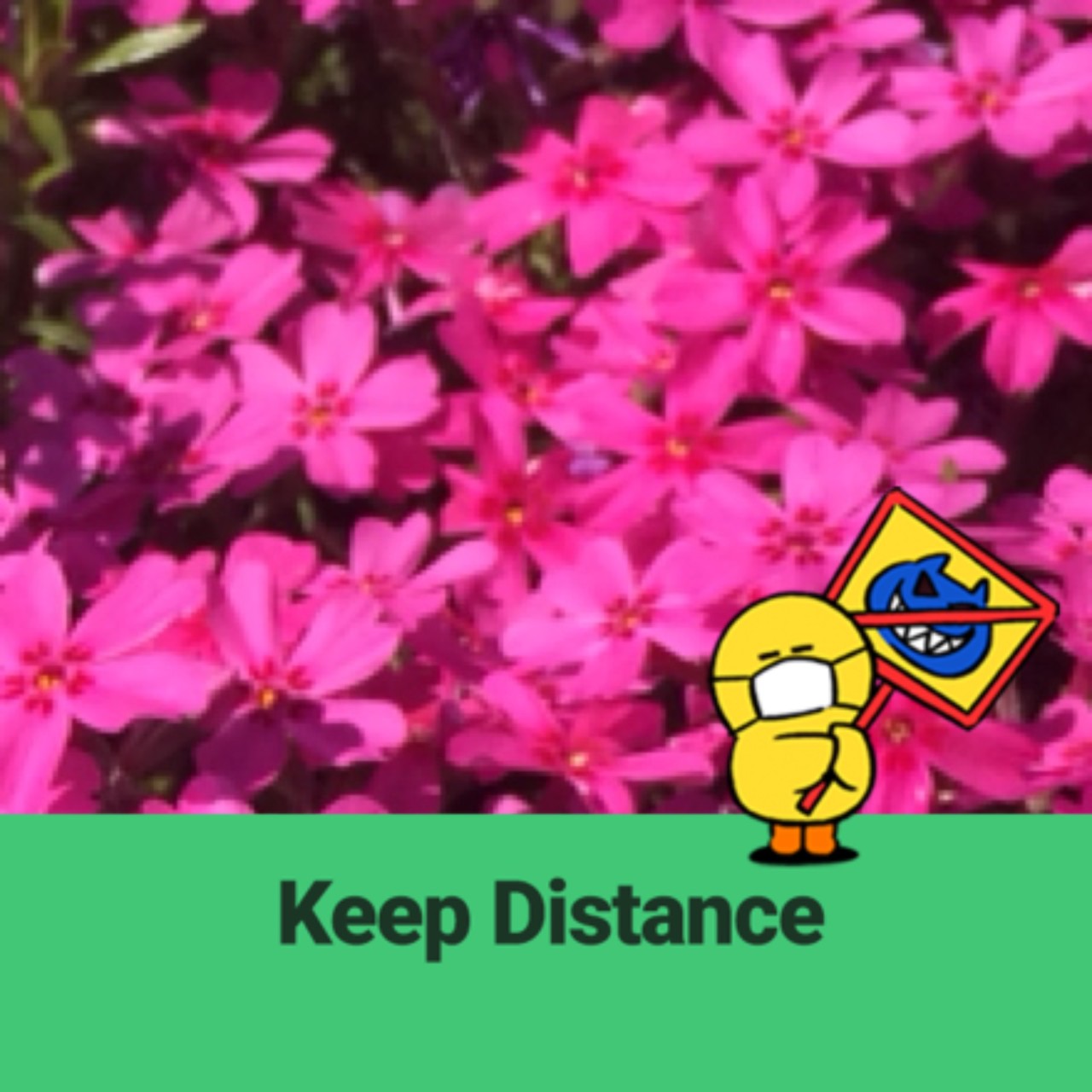 八ケ岳のもぐら