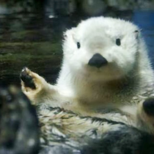 川崎 (田中) ちづる