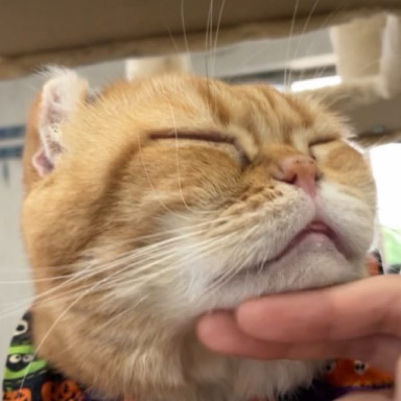 薄井千乃(ゆきの)