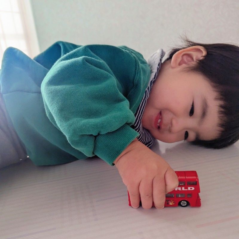 坂本 扇（諸見里）