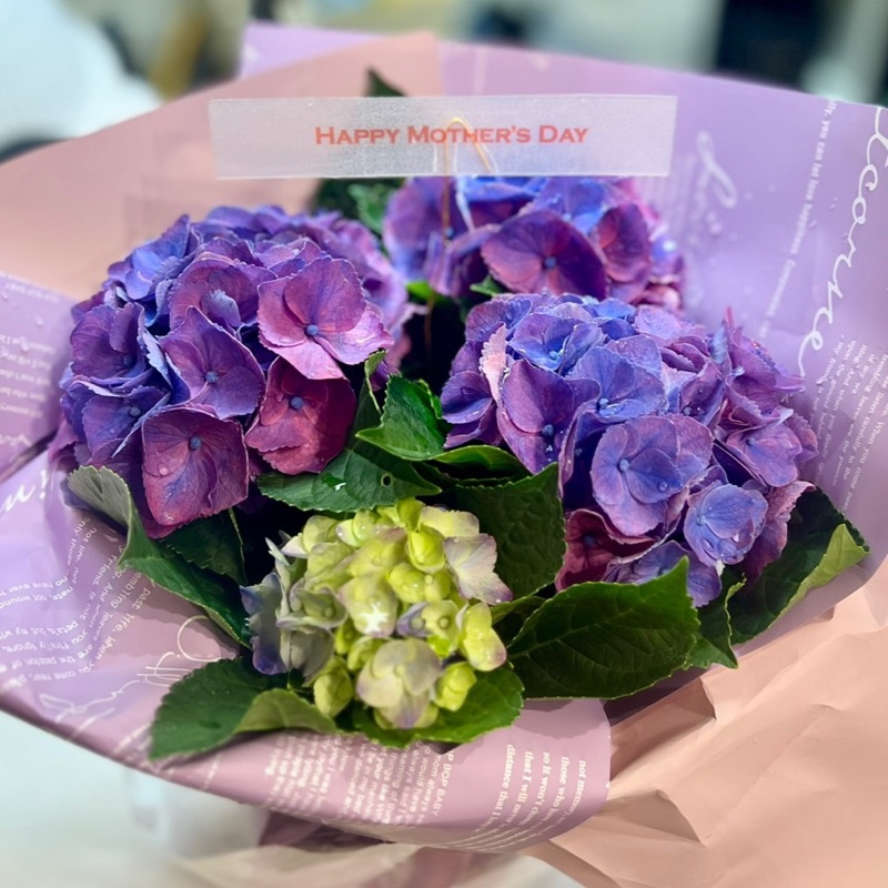 みやざきまなみ