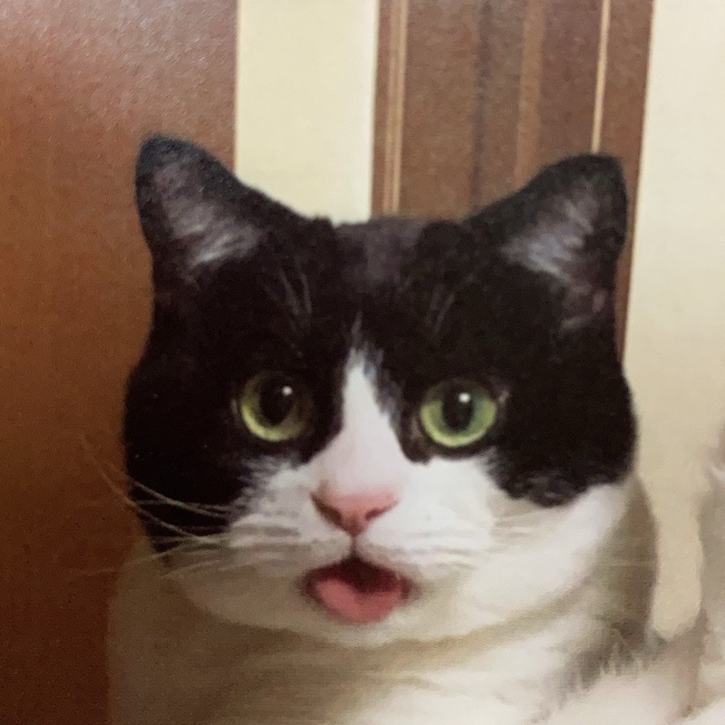 おじま　まゆこ