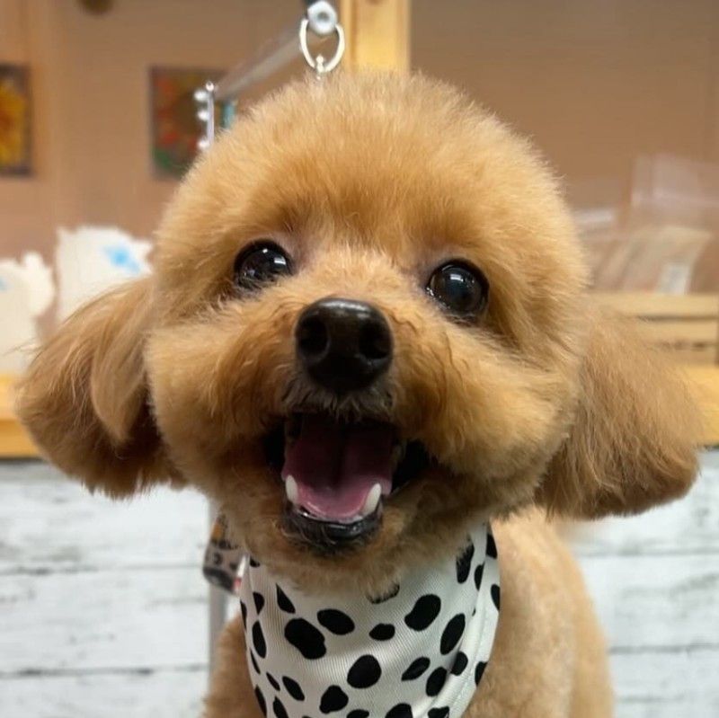 ♥さっちゃん♥