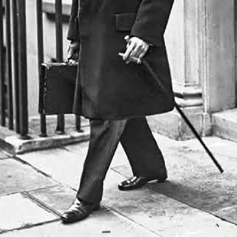 びっくばんぶー🎋